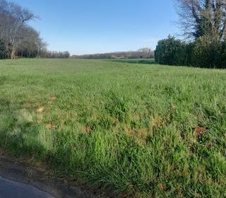  Terrain � vendre 1980 m�