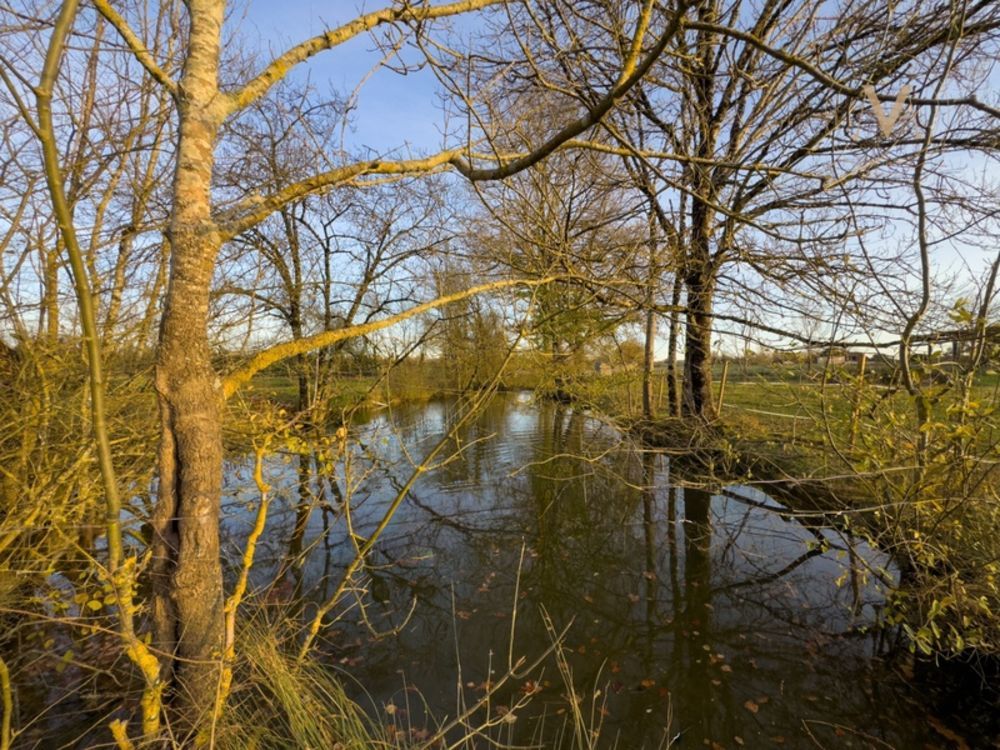 � vendre  Propri�t�/ch�teau Viller�al (47210)