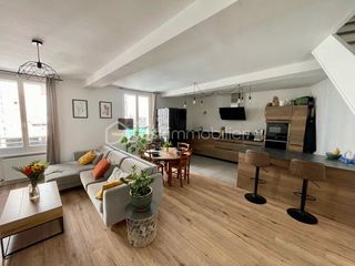  Duplex/triplex � vendre 3 pi�ces 95 m�