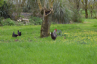  Maison � vendre 7 pi�ces 188 m�