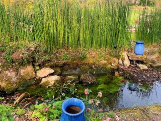  Maison � vendre 6 pi�ces 151 m�