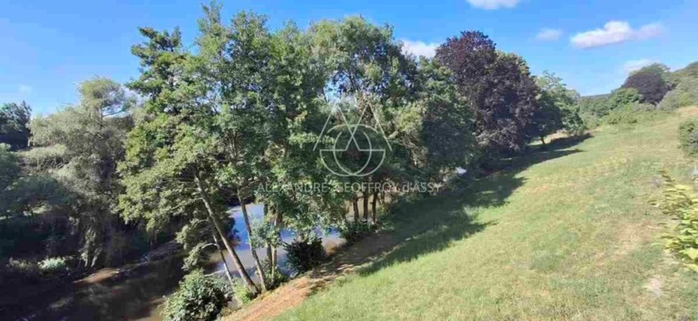 � vendre  Propri�t�/ch�teau Blois (41000)