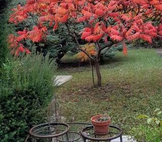  Appartement � louer 1 pi�ce 13 m�