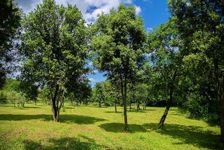  Propri�t�/ch�teau � vendre 15 + pi�ces 571 m�