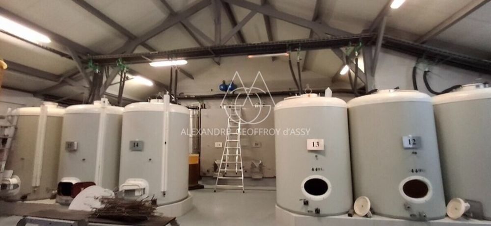 � vendre  Propri�t�/ch�teau Chenonceaux (37150)