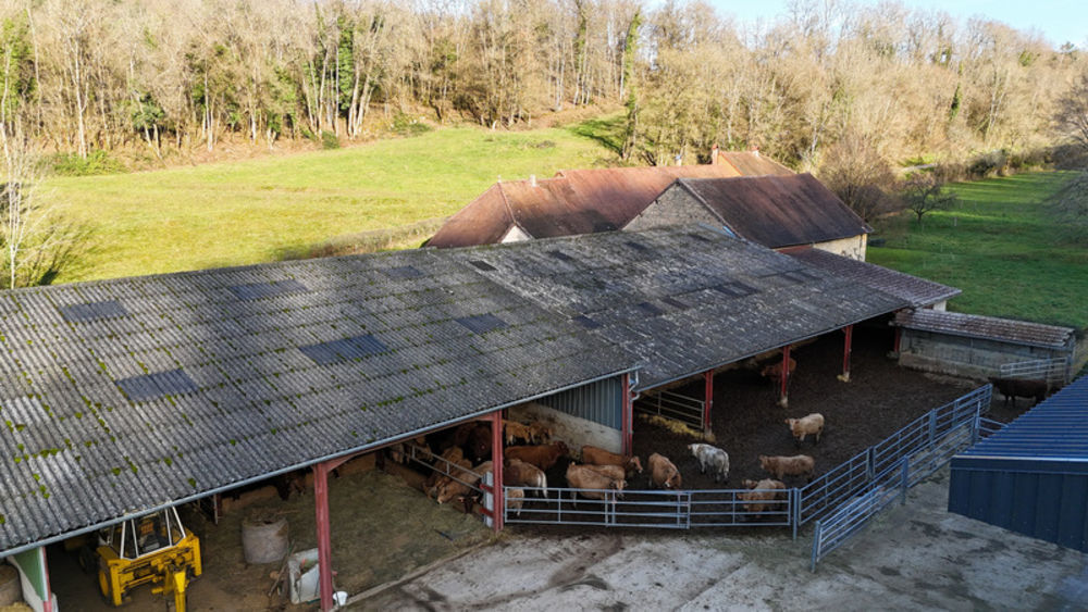 � vendre  Propri�t�/ch�teau Beaufort (39190)