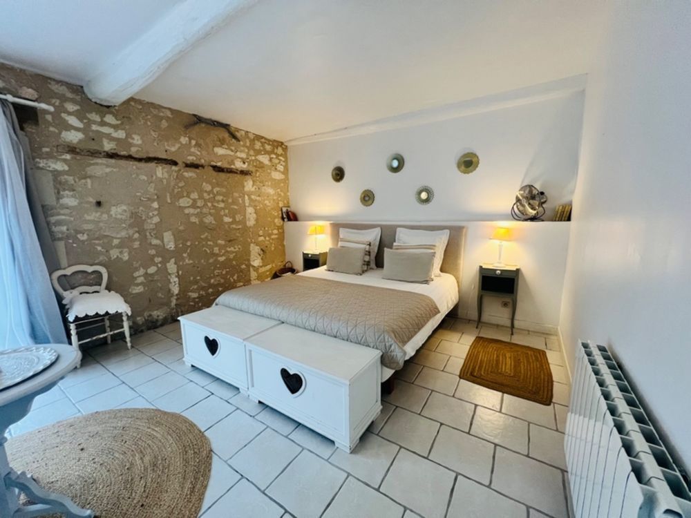 � vendre  Propri�t�/ch�teau Les Ormes (86220)