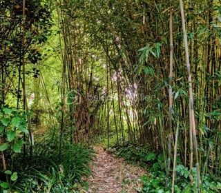  Propri�t�/ch�teau � vendre 2 pi�ces 36 m�