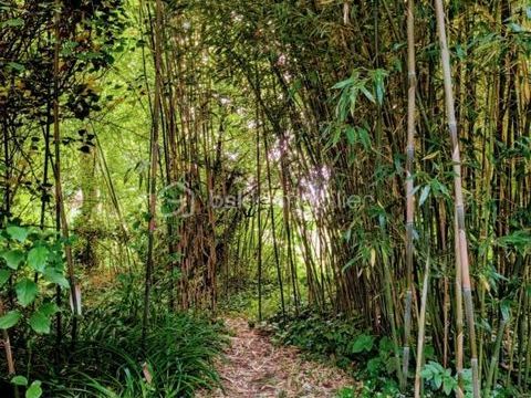  Propri�t�/ch�teau � vendre 2 pi�ces 36 m�