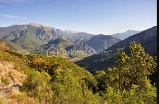  Terrain � vendre 100435 m�