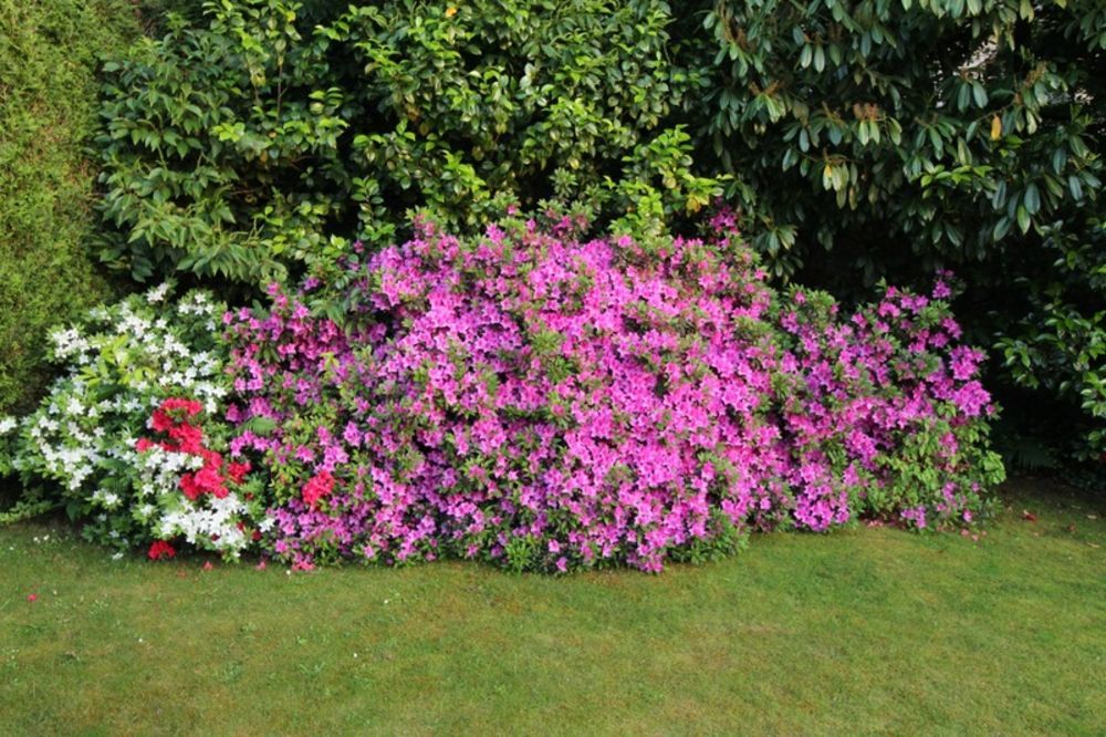 � vendre  Maison Versailles (78000)