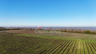  Propri�t�/ch�teau � vendre 12 pi�ces 1357 m�