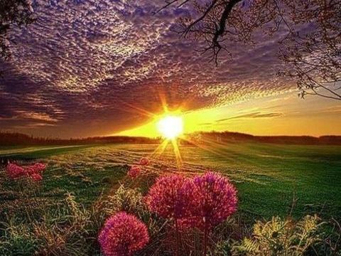   Appartement de 50m2 � louer sur Cabasse 