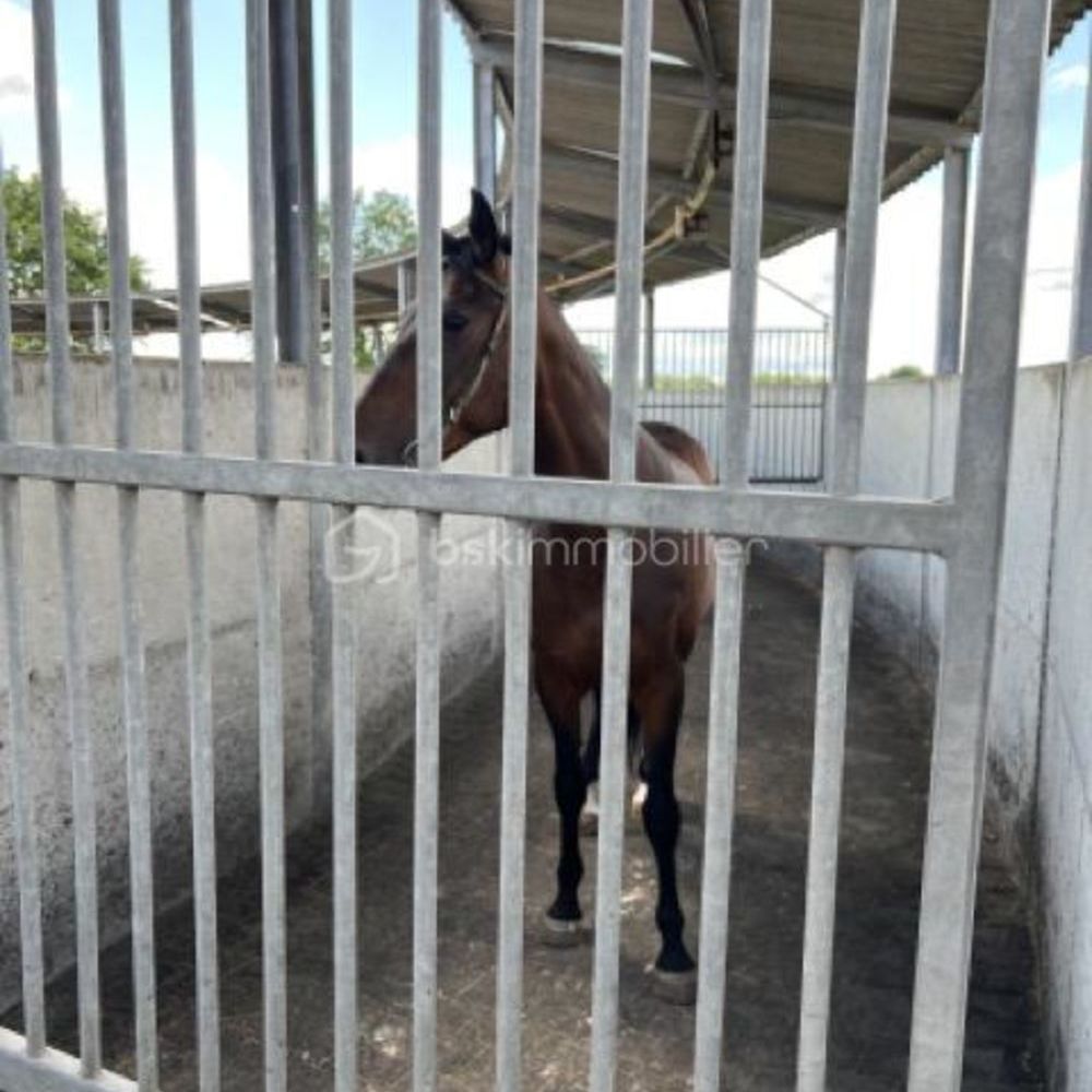 � vendre  Propri�t�/ch�teau Fontenay-Tr�signy (77610)