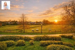  Appartement � vendre 4 pi�ces 84 m�