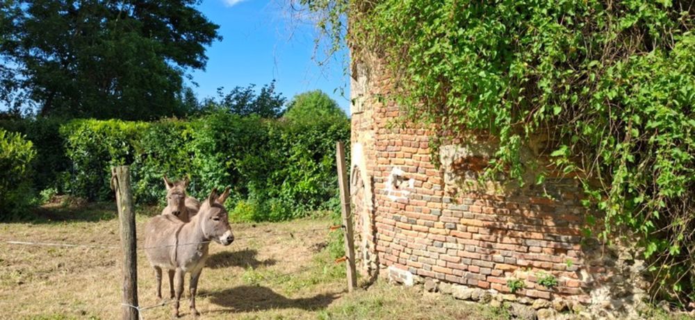 � vendre  Propri�t�/ch�teau Mor�e (41160)