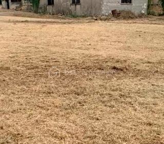  Terrain � vendre 5152 m�