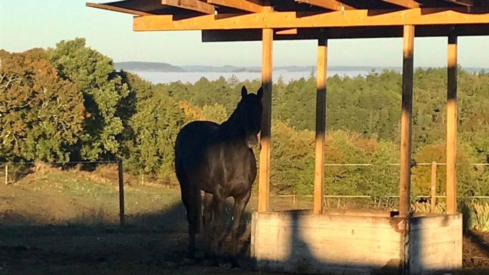 � vendre  Propri�t�/ch�teau Tournon-d'Agenais (47370)