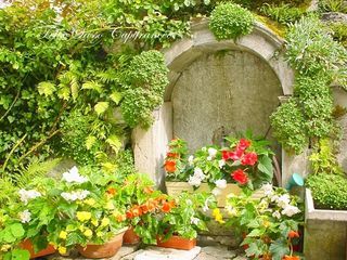  Immeuble � vendre 491 m�