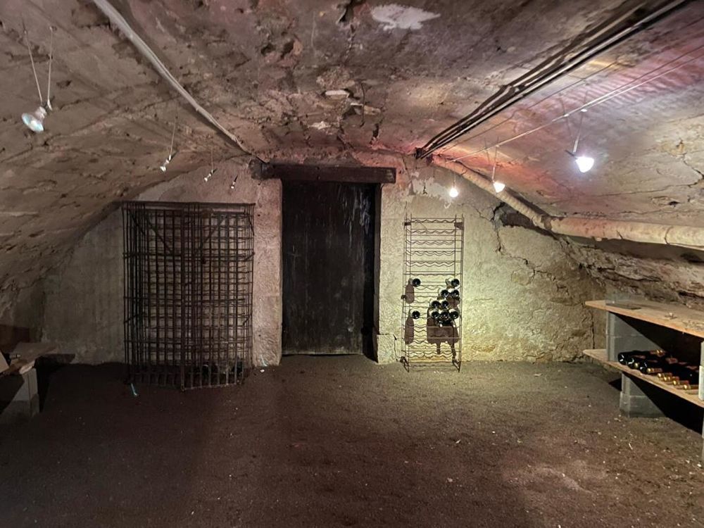 � vendre  Propri�t�/ch�teau Sichamps (58700)