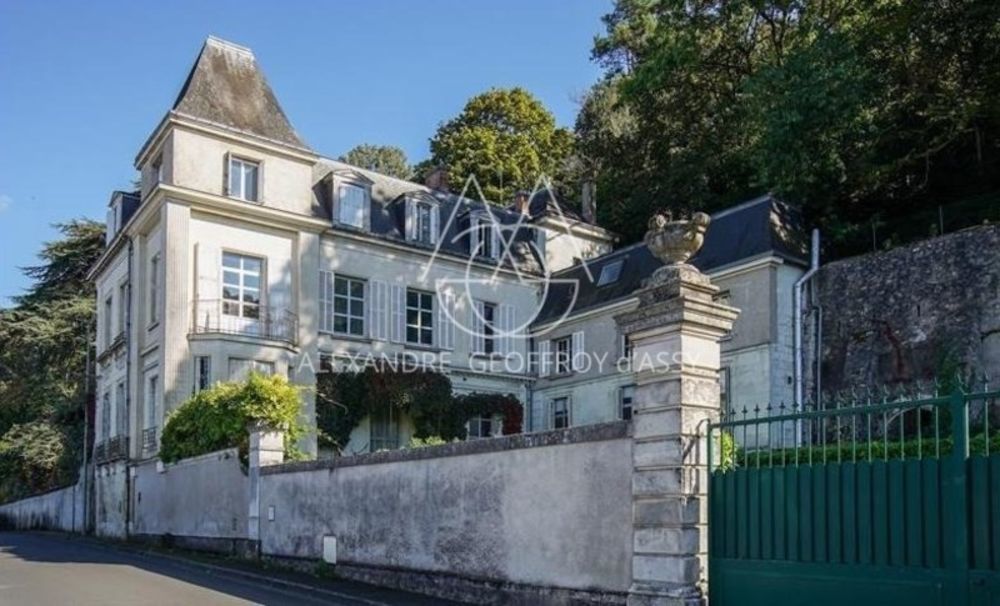 � vendre  H�tel Particulier Tours (37000)