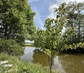  Terrain � vendre 2950 m�