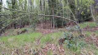  Terrain � vendre 16225 m�