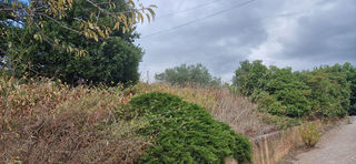  Terrain � vendre 606 m�