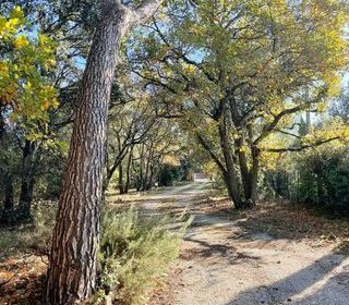  Villa � vendre 7 pi�ces 194 m�