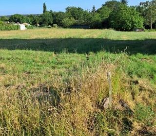  Terrain � vendre 981 m�
