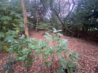  Terrain � vendre 1057 m�