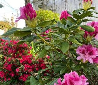  Maison � vendre 8 pi�ces 160 m�