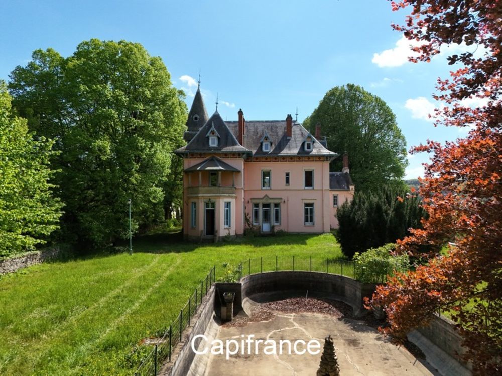 � vendre  Propri�t�/ch�teau Eyzin-Pinet (38780)