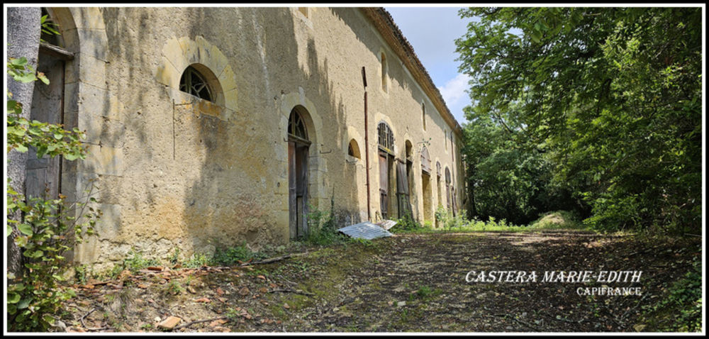 � vendre  Propri�t�/ch�teau Auch (32000)