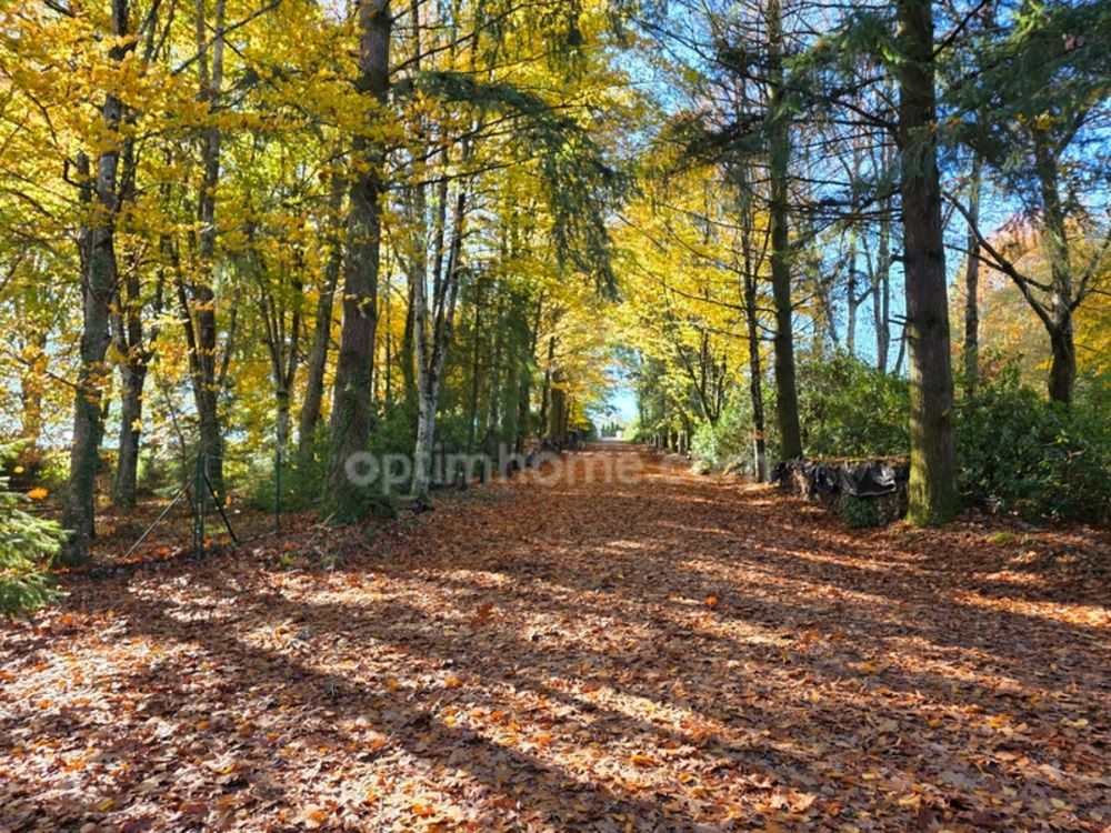 � vendre  Propri�t�/ch�teau Ch�teauneuf-la-For�t (87130)