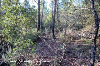  Terrain � vendre 55050 m�