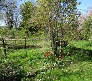  Maison � vendre 5 pi�ces 136 m�