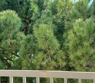  Appartement � vendre 4 pi�ces 82 m�