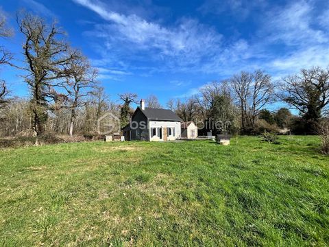   Superbe maison de campagne fra�chement r�nov�e sur son magnifique terrain au c�ur de la for�t Maison - 4 pi�ce(s) - 90 m�