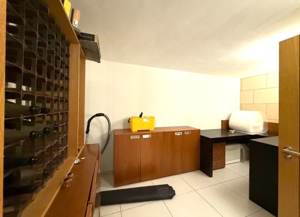 � vendre  Propri�t�/ch�teau Ch�tillon-sur-Marne (51700)