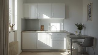  Appartement � vendre 2 pi�ces 45 m�