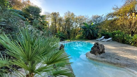   A vendre. Ensemble de 250m� � Tursac (24) avec maison d'habitation, g�te, piscine lagon sur pr�s de 1,5 hectares de terrain en p Maison - 10 pi�ce(s) - 250 m�