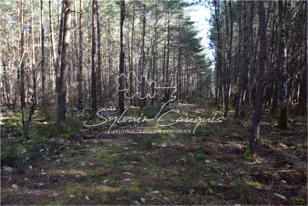 � vendre  Propri�t�/ch�teau Lamotte-Beuvron (41600)