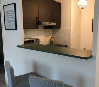  Appartement � louer 1 pi�ce 37 m�