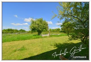  Maison � vendre 7 pi�ces 262 m�