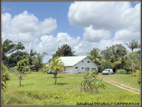   A VENDRE A SINNAMARY UNE MAGNIFIQUE MAISON T4 DE 193 m� SUPERFICIE TERRAIN 6 HECTARES - AU PRIX DE 475 000 � Maison - 4 pi�ce(s) - 194 m�