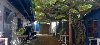  Immeuble � vendre 15 + pi�ces 450 m�