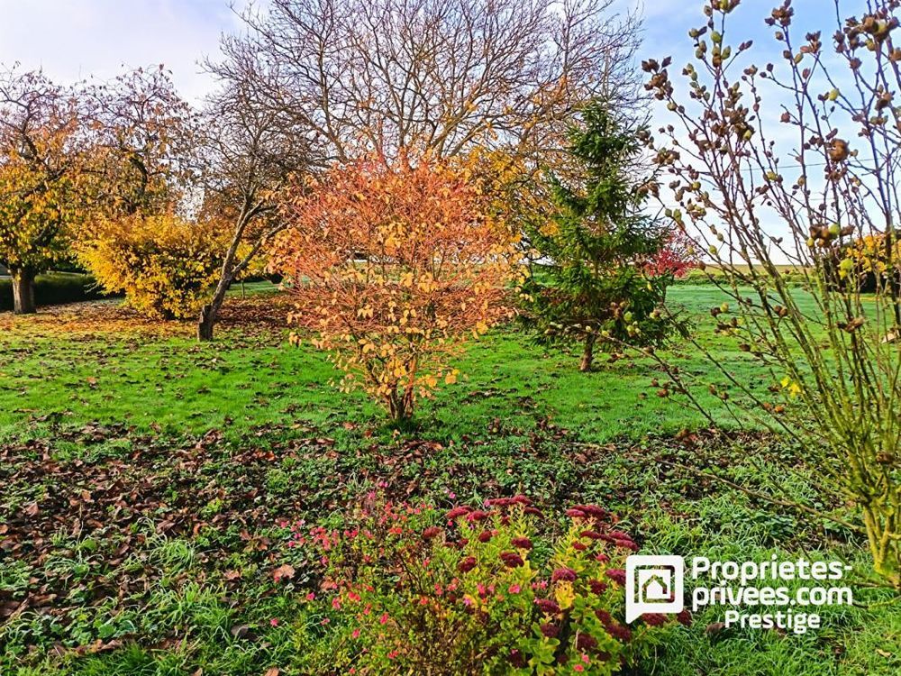 � vendre  Propri�t�/ch�teau Vernou-sur-Brenne (37210)