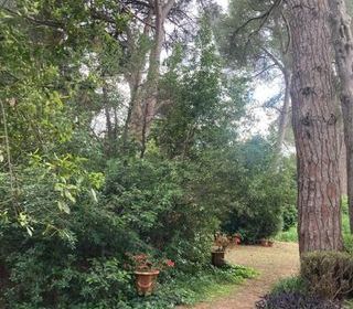  Propri�t�/ch�teau � vendre 9 pi�ces 260 m�