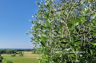  Maison � vendre 6 pi�ces 135 m�